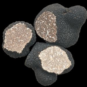 Tartufo scorzone