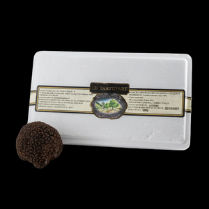 Salsa di Tartufo Estivo Condita Surgelata – 500 g