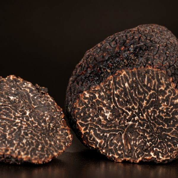 Tartufo Nero Pregiato Fresco (Tuber melanosporum)